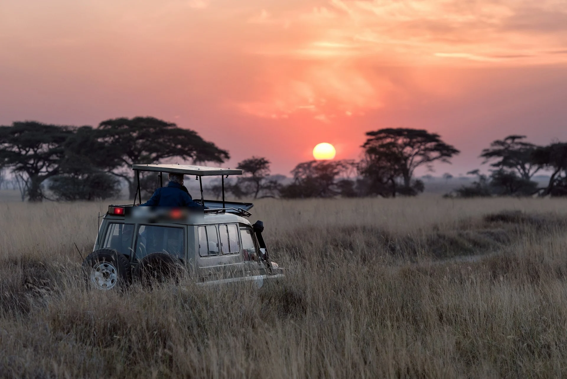 Kenya Safari Landscape